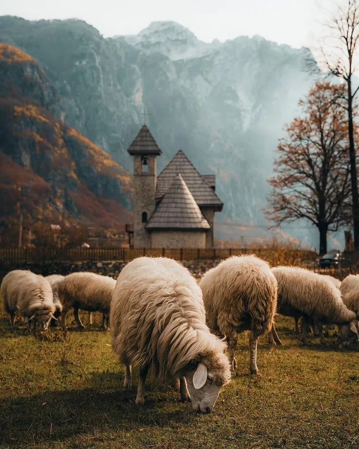 Valbona to Theth trail